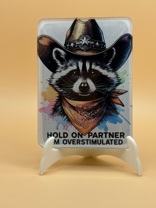Overstimulated raccoon 2 x 3
