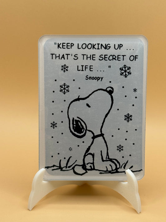 Keep looking up 2 x 3